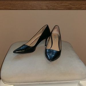 Bradshaw pump 65